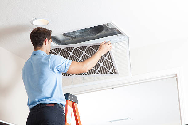Best Solar-powered HVAC Systems in Jenison, MI